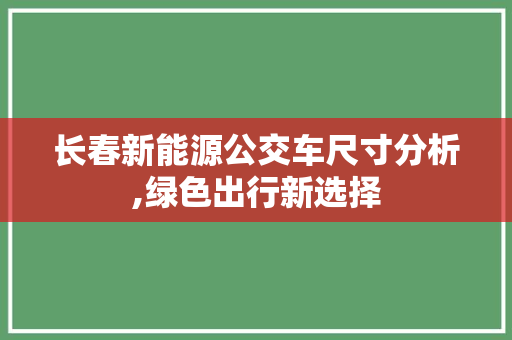 长春新能源公交车尺寸分析,绿色出行新选择