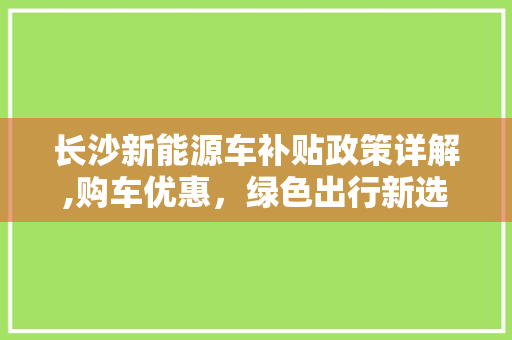 长沙新能源车补贴政策详解,购车优惠，绿色出行新选择