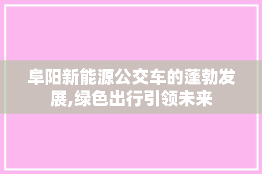阜阳新能源公交车的蓬勃发展,绿色出行引领未来
