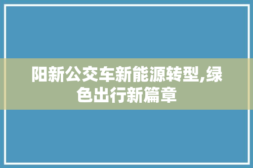 阳新公交车新能源转型,绿色出行新篇章