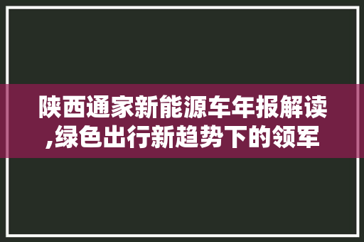 陕西通家新能源车年报解读,绿色出行新趋势下的领军者