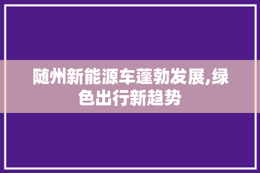 随州新能源车蓬勃发展,绿色出行新趋势