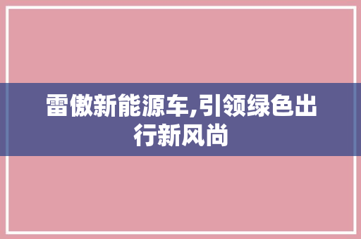 雷傲新能源车,引领绿色出行新风尚