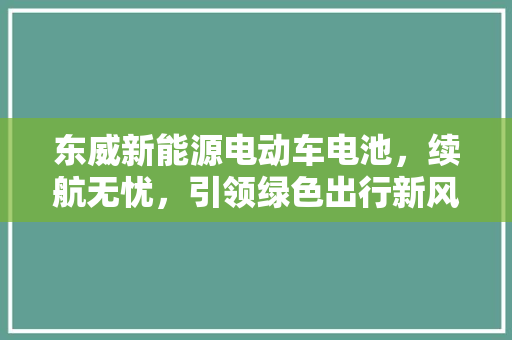 东威新能源电动车电池，续航无忧，引领绿色出行新风尚