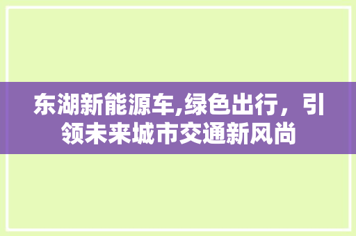 东湖新能源车,绿色出行，引领未来城市交通新风尚