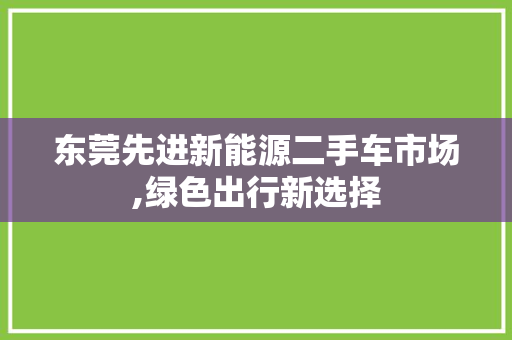 东莞先进新能源二手车市场,绿色出行新选择