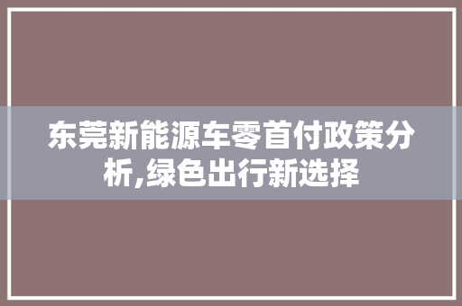 东莞新能源车零首付政策分析,绿色出行新选择