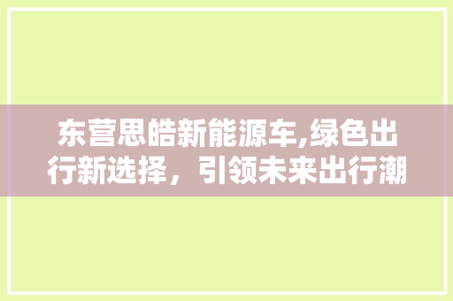 东营思皓新能源车,绿色出行新选择，引领未来出行潮流