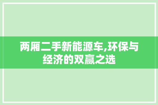 两厢二手新能源车,环保与经济的双赢之选