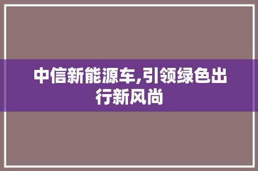 中信新能源车,引领绿色出行新风尚