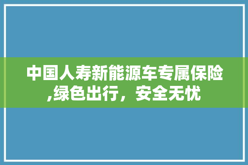 中国人寿新能源车专属保险,绿色出行，安全无忧
