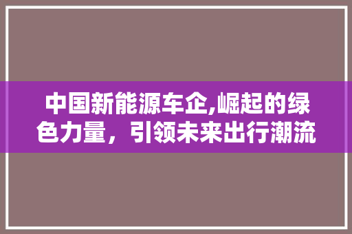 中国新能源车企,崛起的绿色力量，引领未来出行潮流