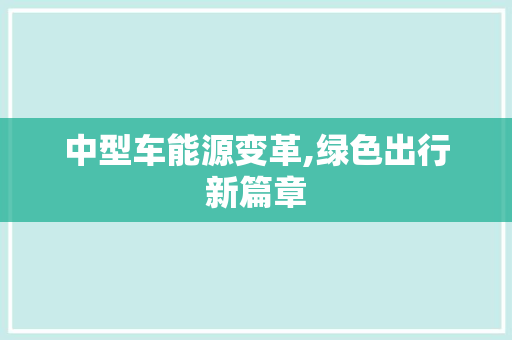 中型车能源变革,绿色出行新篇章