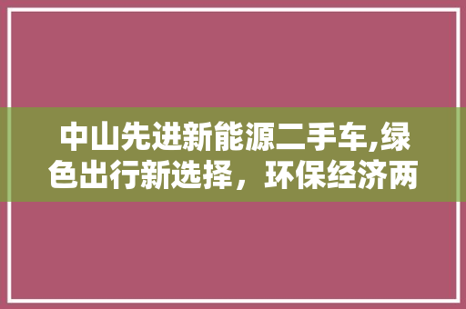 中山先进新能源二手车,绿色出行新选择，环保经济两不误