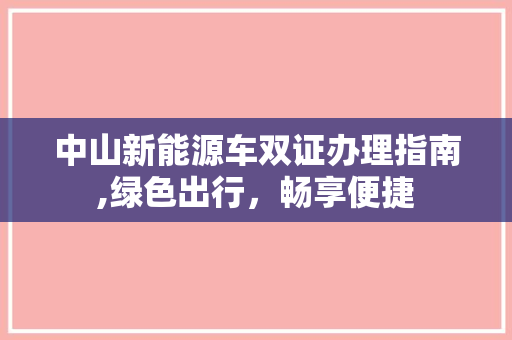 中山新能源车双证办理指南,绿色出行，畅享便捷