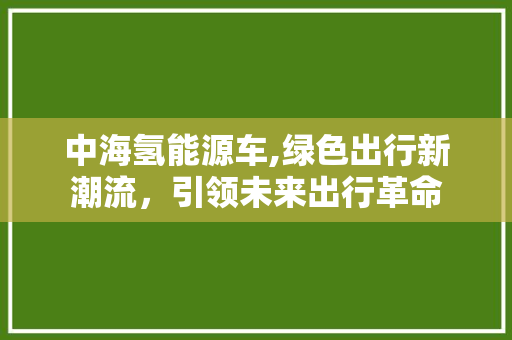 中海氢能源车,绿色出行新潮流，引领未来出行革命