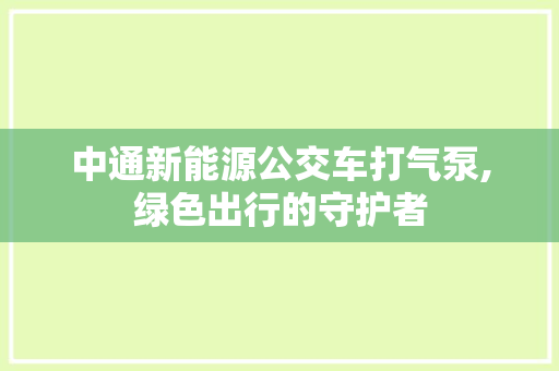 中通新能源公交车打气泵,绿色出行的守护者