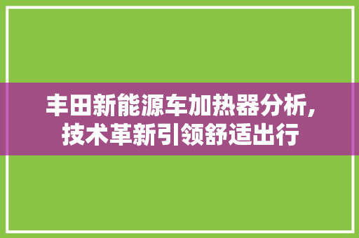 丰田新能源车加热器分析,技术革新引领舒适出行