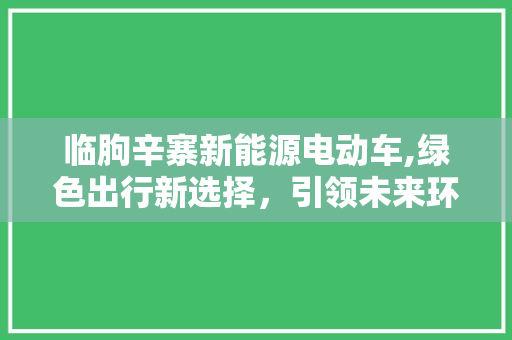 临朐辛寨新能源电动车,绿色出行新选择，引领未来环保潮流