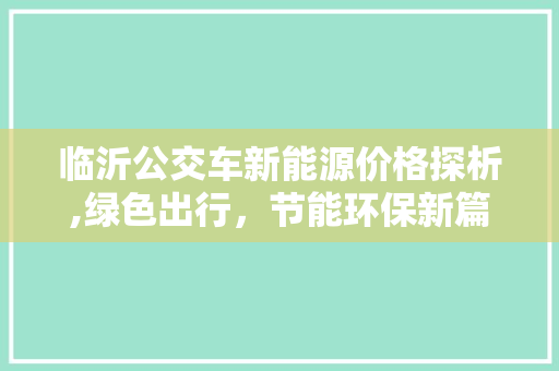 临沂公交车新能源价格探析,绿色出行，节能环保新篇章