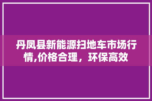 丹凤县新能源扫地车市场行情,价格合理，环保高效
