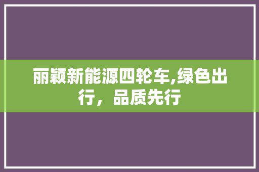 丽颖新能源四轮车,绿色出行，品质先行