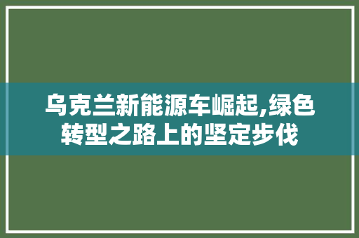 乌克兰新能源车崛起,绿色转型之路上的坚定步伐