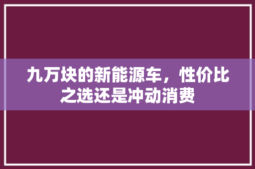 九万块的新能源车，性价比之选还是冲动消费