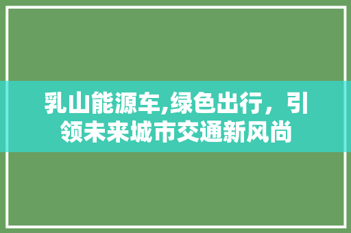 乳山能源车,绿色出行，引领未来城市交通新风尚