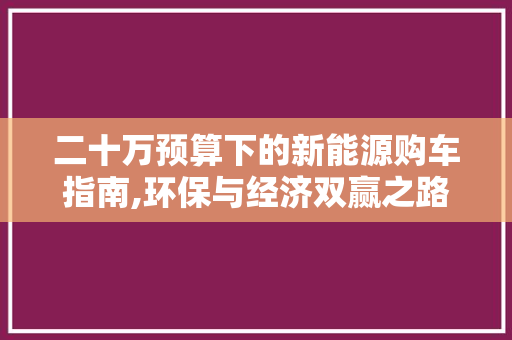 二十万预算下的新能源购车指南,环保与经济双赢之路