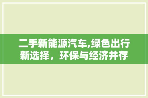 二手新能源汽车,绿色出行新选择，环保与经济并存