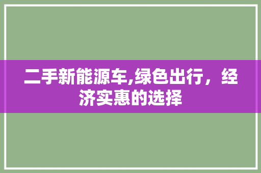 二手新能源车,绿色出行，经济实惠的选择