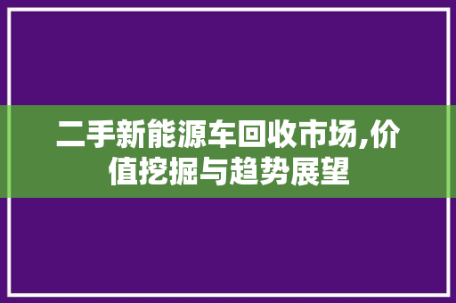 二手新能源车回收市场,价值挖掘与趋势展望