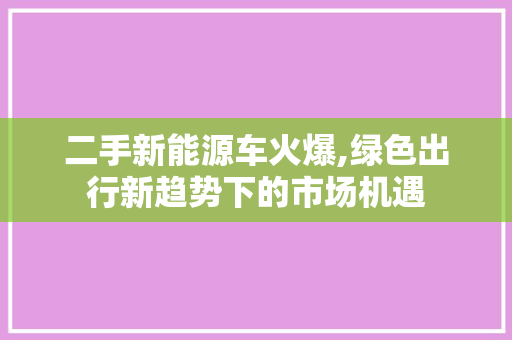 二手新能源车火爆,绿色出行新趋势下的市场机遇