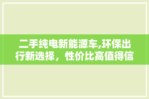 二手纯电新能源车,环保出行新选择，性价比高值得信赖