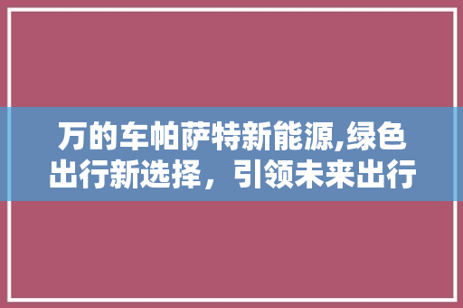 万的车帕萨特新能源,绿色出行新选择，引领未来出行潮流