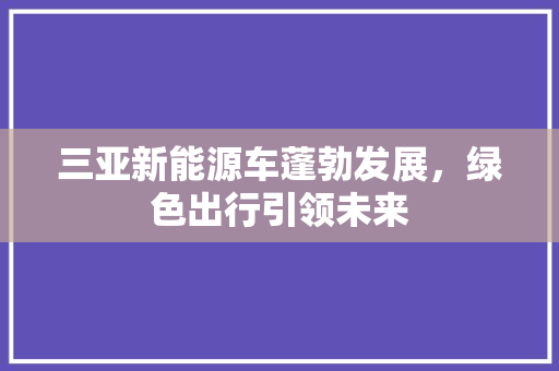 三亚新能源车蓬勃发展，绿色出行引领未来