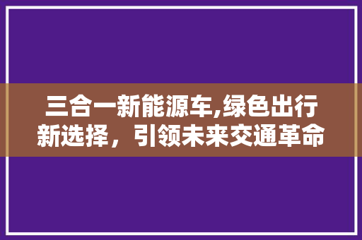 三合一新能源车,绿色出行新选择，引领未来交通革命