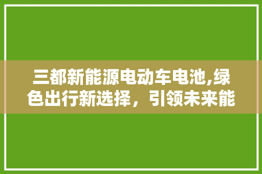 三都新能源电动车电池,绿色出行新选择，引领未来能源革命