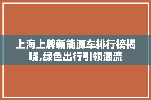 上海上牌新能源车排行榜揭晓,绿色出行引领潮流