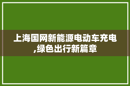上海国网新能源电动车充电,绿色出行新篇章