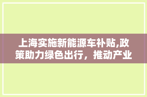 上海实施新能源车补贴,政策助力绿色出行，推动产业升级