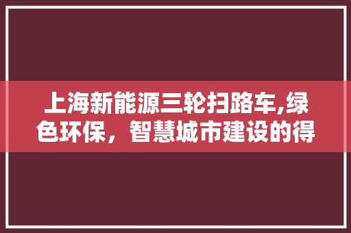 上海新能源三轮扫路车,绿色环保，智慧城市建设的得力助手