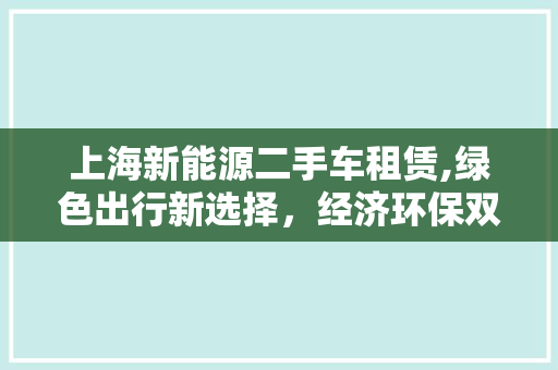 上海新能源二手车租赁,绿色出行新选择，经济环保双赢之路