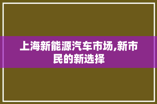 上海新能源汽车市场,新市民的新选择