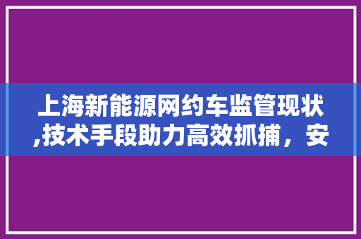 上海新能源网约车监管现状,技术手段助力高效抓捕，安全出行保驾护航