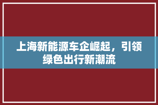 上海新能源车企崛起，引领绿色出行新潮流
