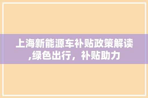 上海新能源车补贴政策解读,绿色出行，补贴助力