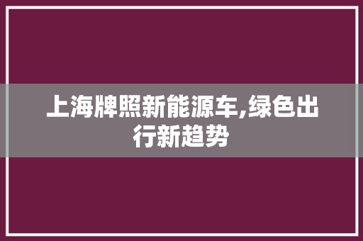 上海牌照新能源车,绿色出行新趋势