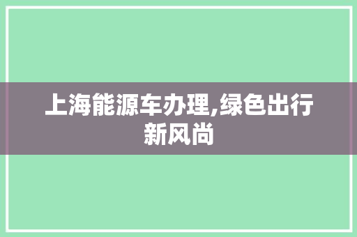 上海能源车办理,绿色出行新风尚